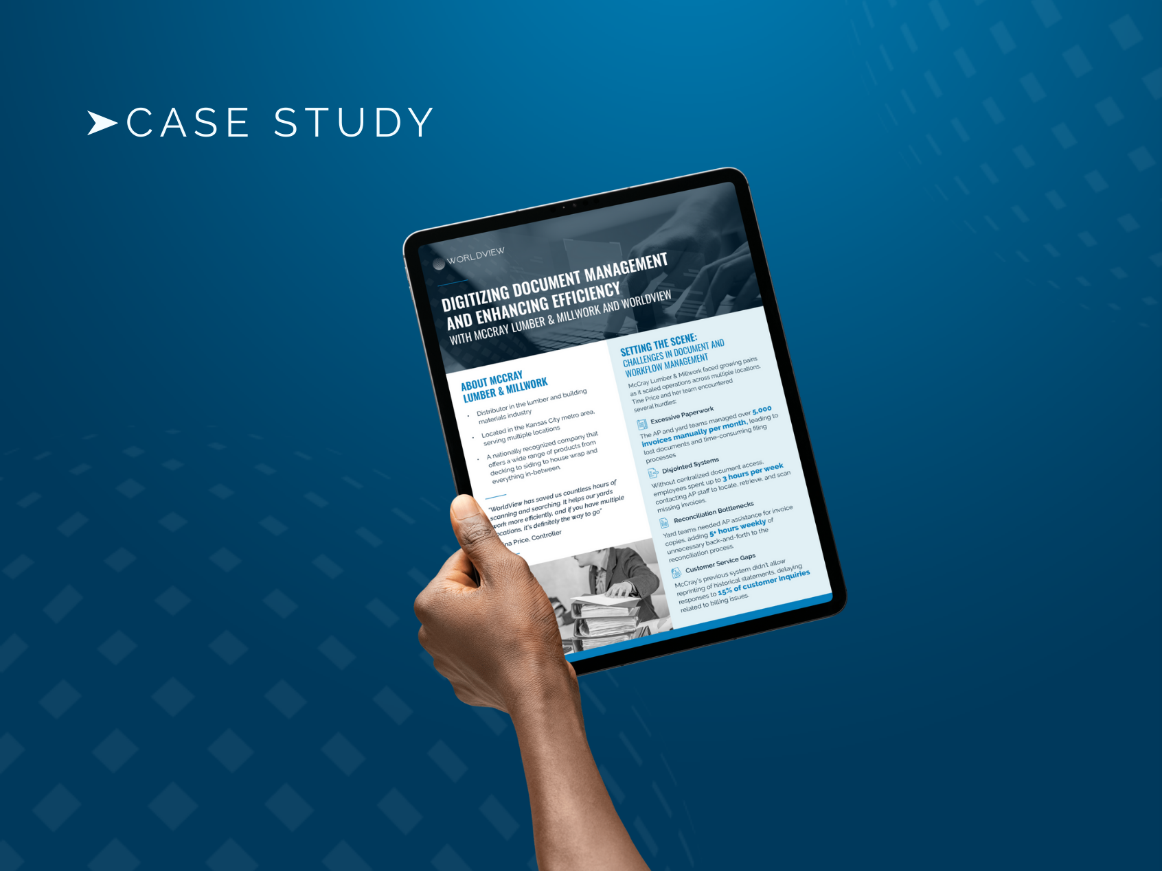 Worldview_CaseStudy_usabletemplate copy 2