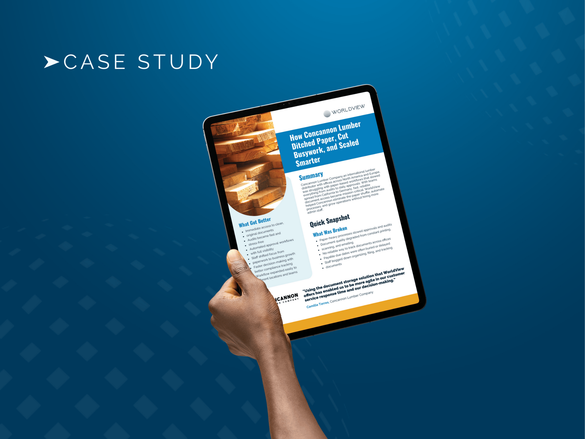 Worldview_CaseStudy_usabletemplate